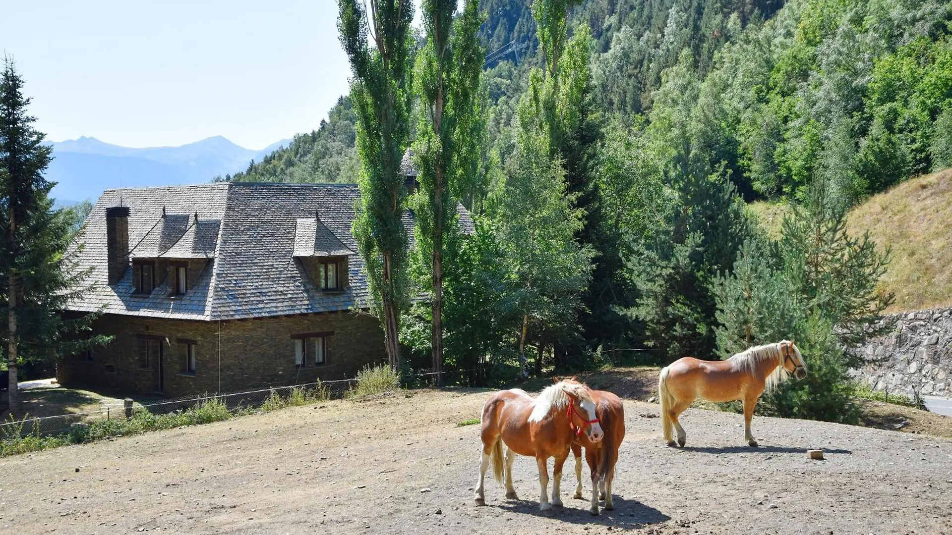 ****  Nh Collection Andorra Palome Hotel Erts Andorra