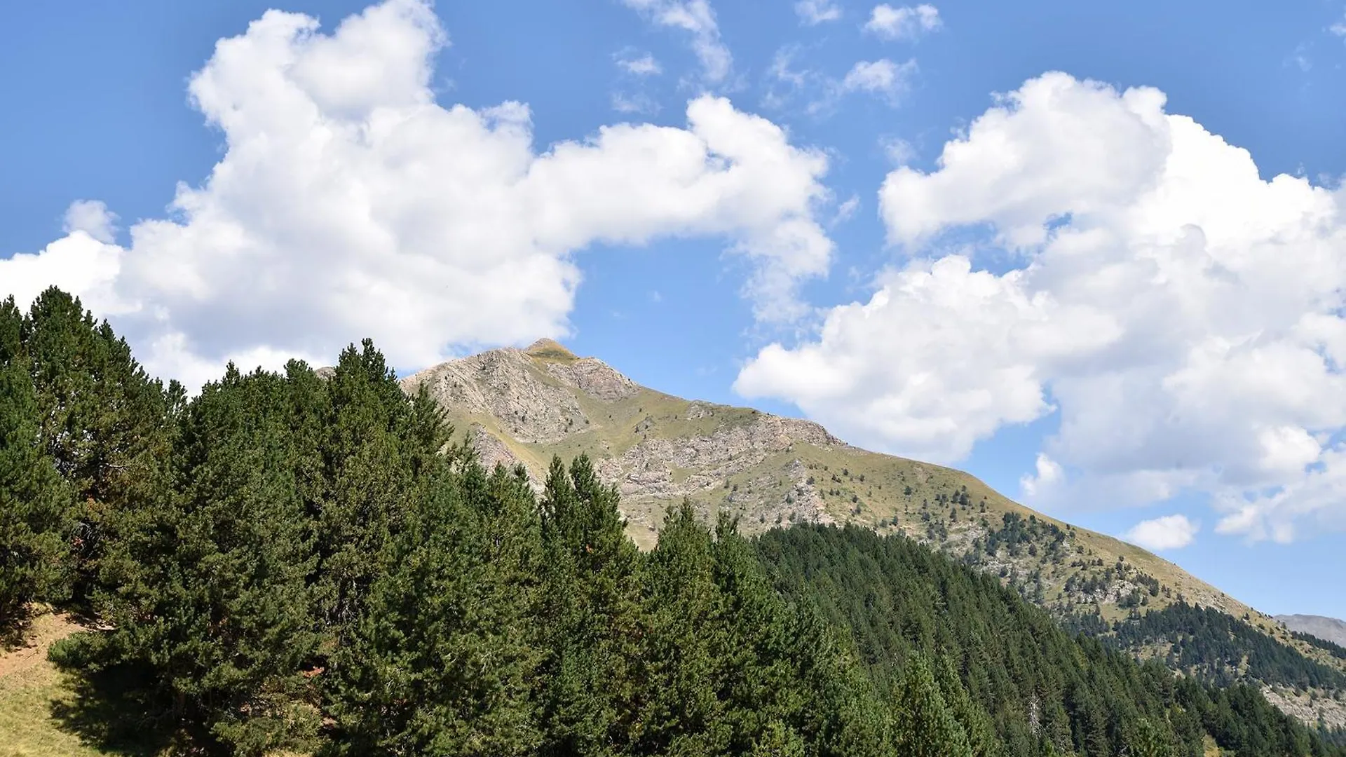 ****  Hotel NH Collection Andorra Palomé à Erts Andorre